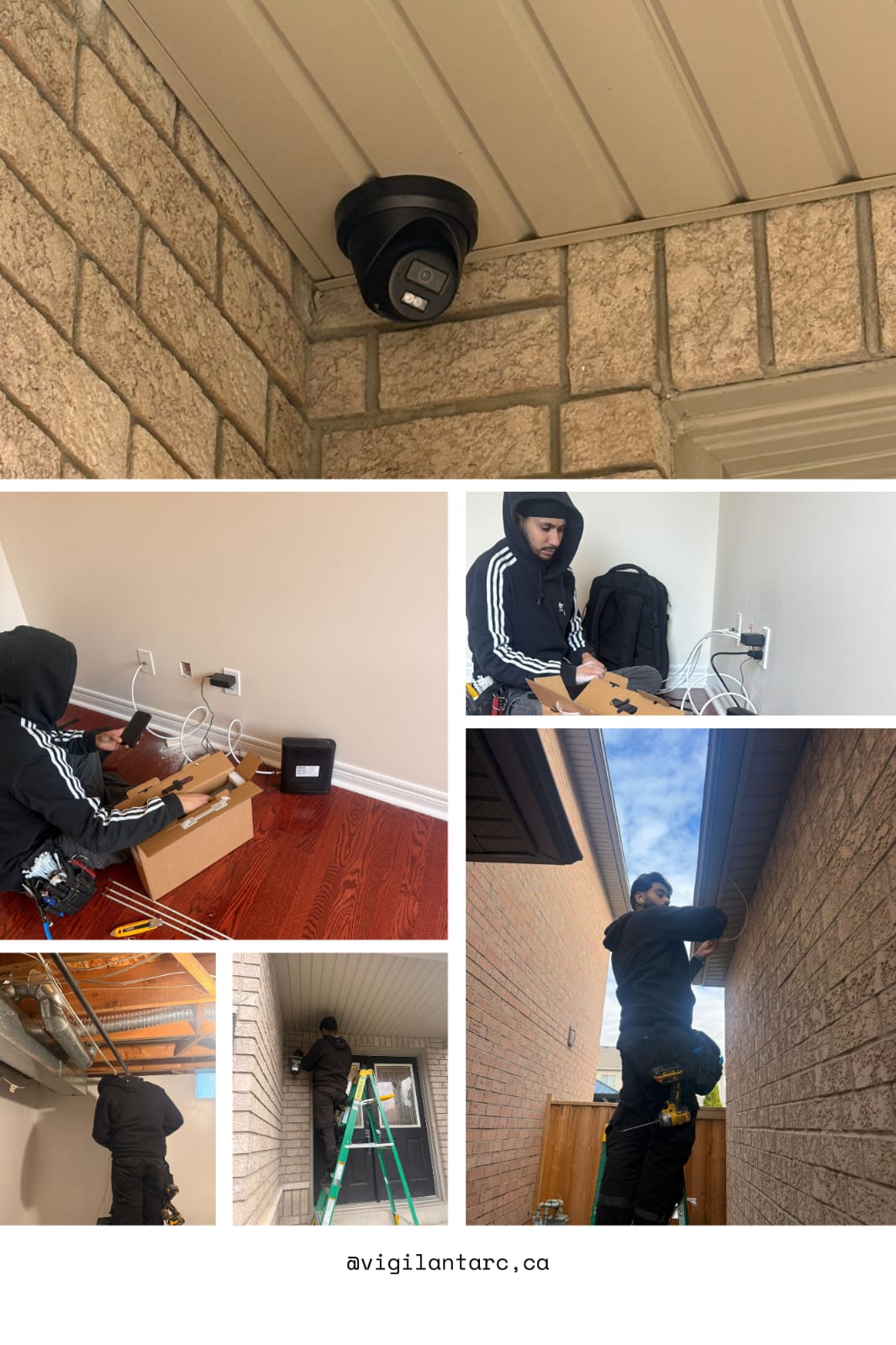 Vigilant Arc Project, Ontario
