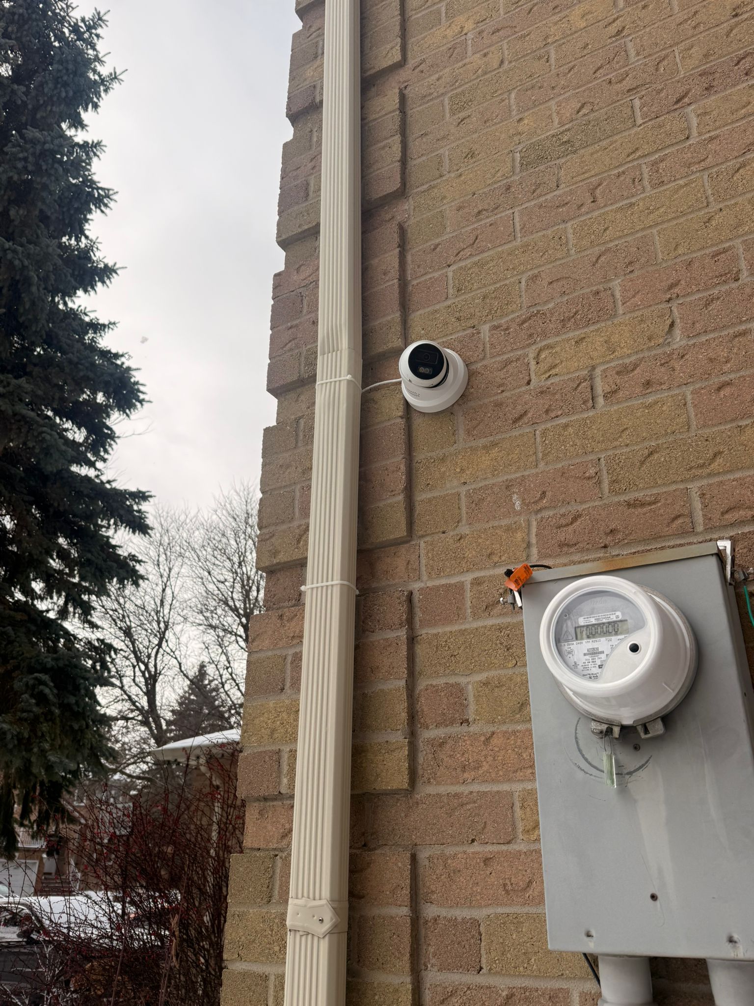 Vigilant Arc Project, Ontario